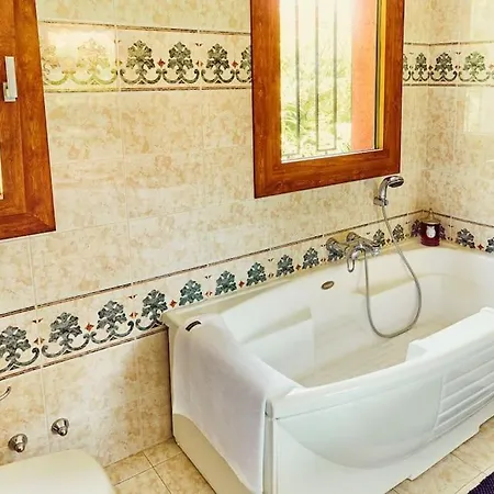 فيلة View Ever! *