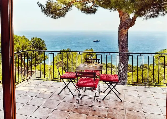 View Ever! فيلة
